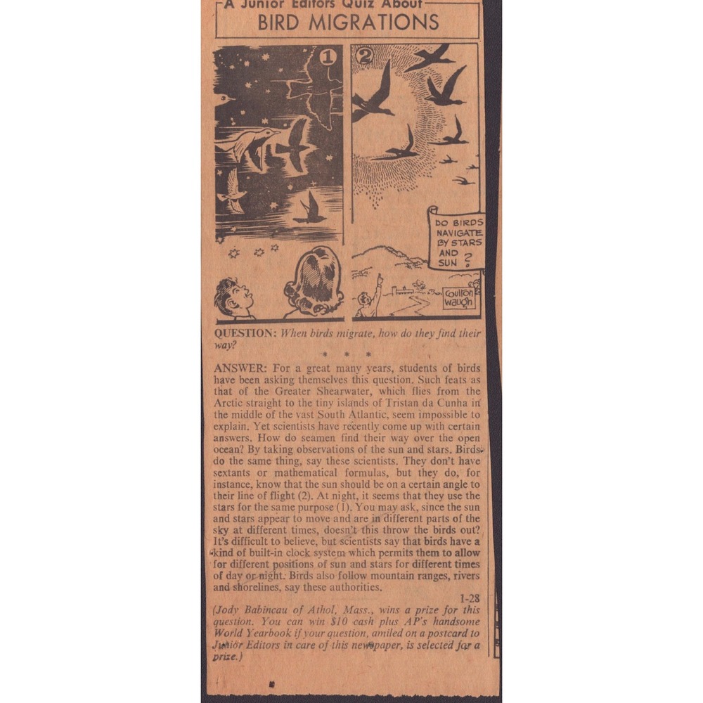 12 Vintage Junior Editors Quiz Newspaper Clippings Science Nature Ephemera Lot - Picture 11 of 14